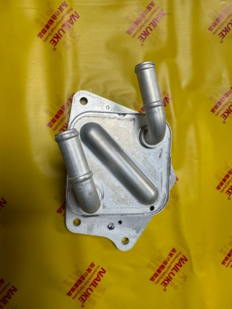 21305-6RC1B 21305-6RC1B