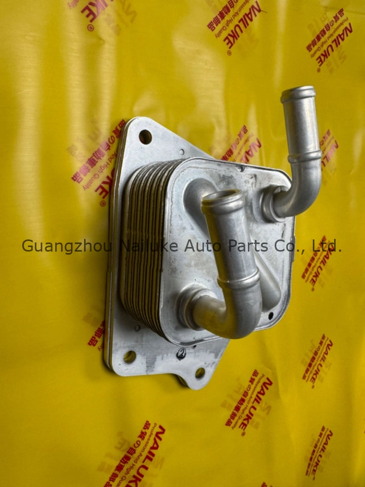 21305-6RC1B (2)
